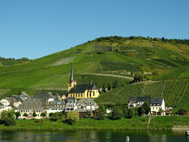 vinogradi-mosel