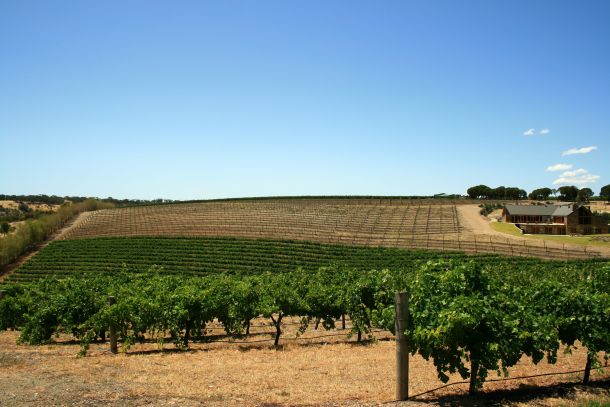 Barossa Valley, juzna Australia barossa dolina