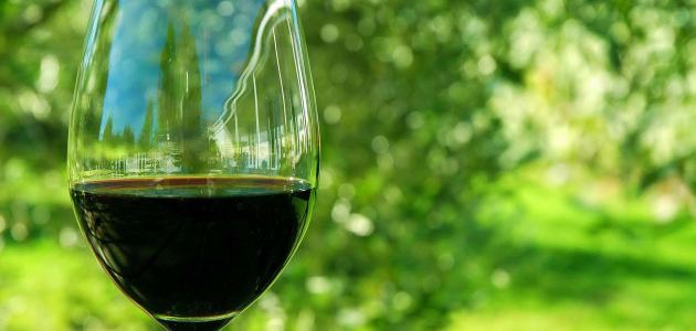 carobna-americka-vina