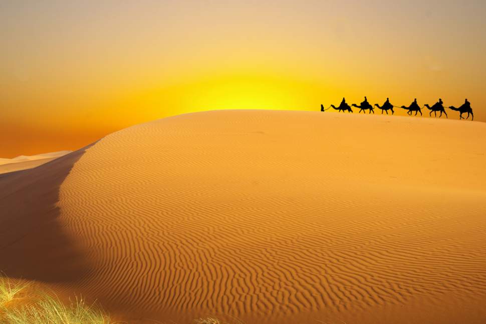 shutterstock_60026089