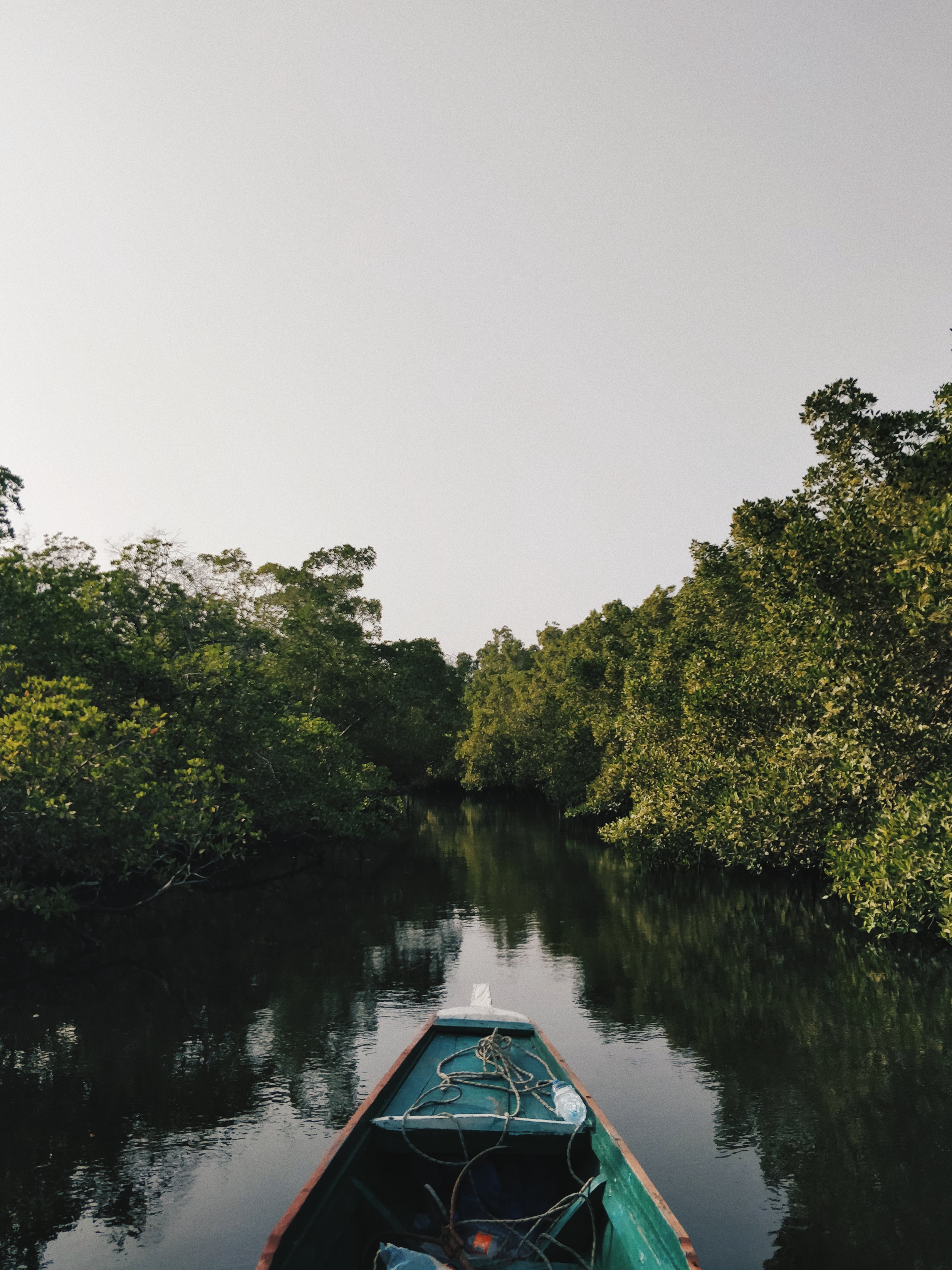 Sine Saloum Delta, Senegal