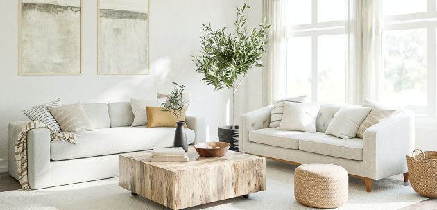 biljke i energija u stanu