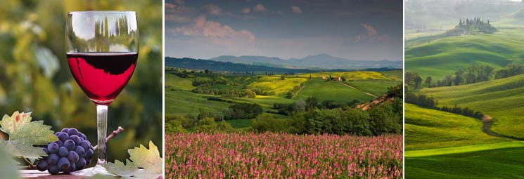 tuscany_wine_tour