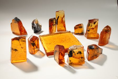 Transparentna ljepota