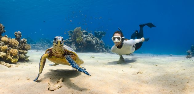 Pripremite se za ronjenje – oprema i savjeti za siguran boravak pod vodom