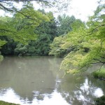 pond-with-maple-trees-kyoto-botanical-garden_l