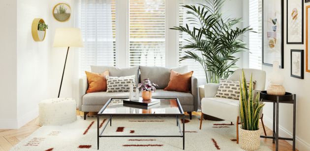 dnevni boravak interijer stol biljke