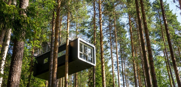 treehotel_2