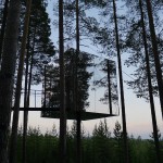 treehotel_4