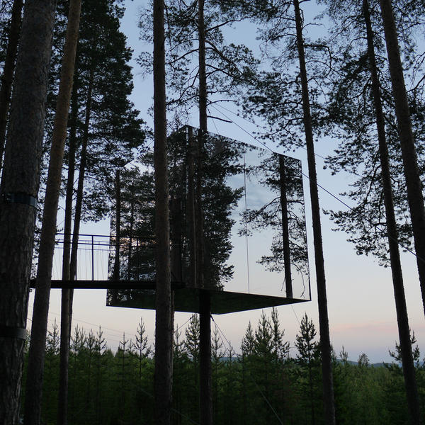 treehotel_4