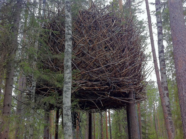 treehotel_6