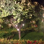 vocke u hotelu