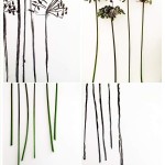 Šekoranja - Instalacija