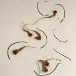 Šekoranja - Instalacija