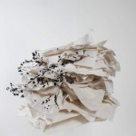 Šekoranja - Instalacija