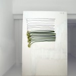 Šekoranja - Instalacija s ornythogalumom 07