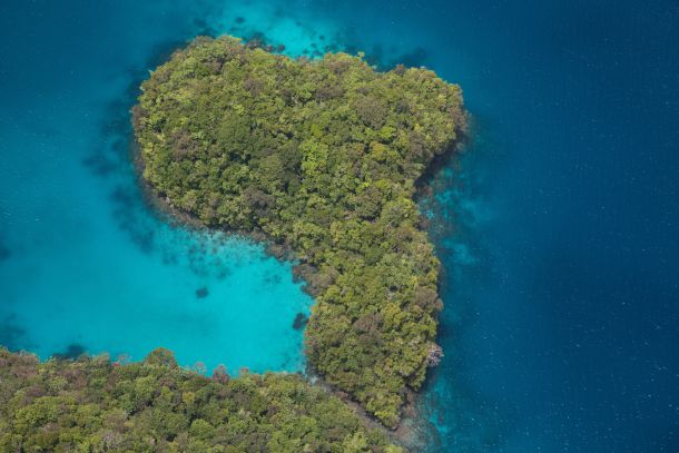 palau otocna drzacva tihi ocean