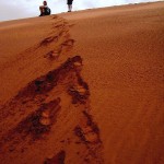 Nacionalni park Namib-Naukluft_ 2