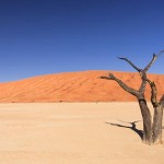 Nacionalni park Namib-Naukluft_ 5