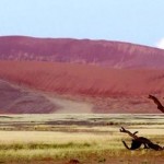 Nacionalni park Namib-Naukluft_ 8