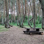 Nakrivljena suma