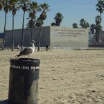 Venice Beach Venice Beach