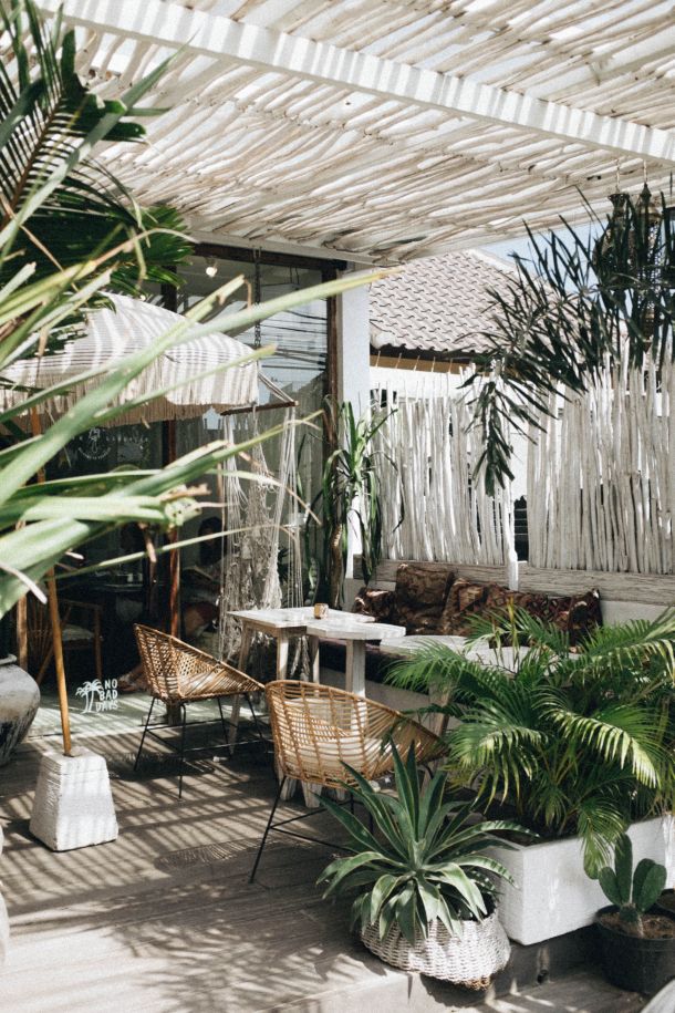 balkon terasa biljke