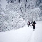 khymber-hotels-5