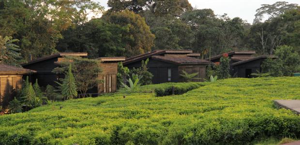 nyungwe-forest-lodge-01