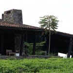 nyungwe-forest-lodge-21