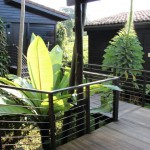 nyungwe-forest-lodge-29