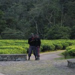 nyungwe-forest-lodge-35