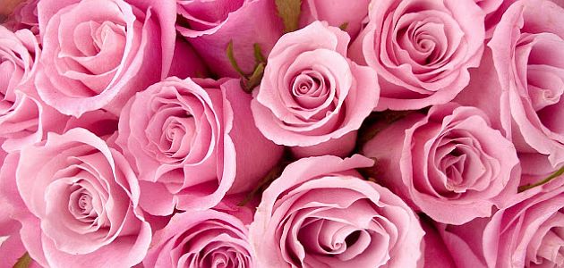 Homemade rose liqueur recipe