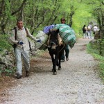 Paklenica