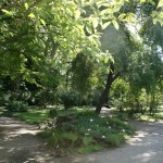 botanicki-vrt-zagreb-06 botanicki-vrt-zagreb-06