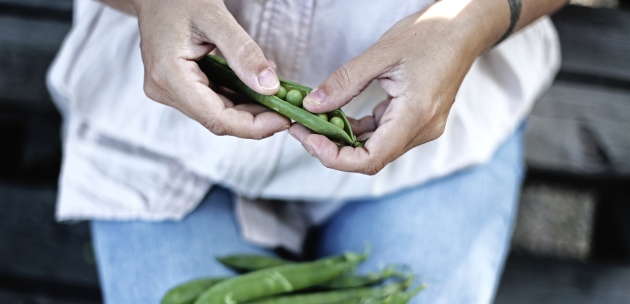 konzerviranje graska