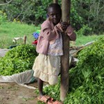 mjesto-sakupljanja-caja