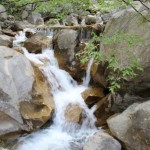 paklenica paklenica