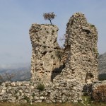 rusevine rusevine