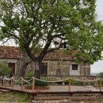 starigrad-1 starigrad-1