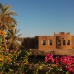 al-tarfa-5
