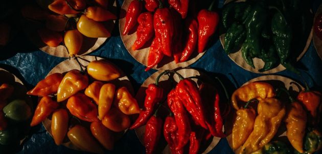 pecena paprika paprike