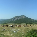 Dalmatinske Alpe