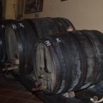 bermet-filipec-13 bermet-filipec-13