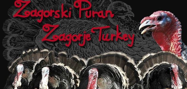 Zagorski puran