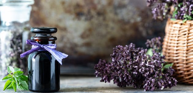 otrovne biljke i cvijece