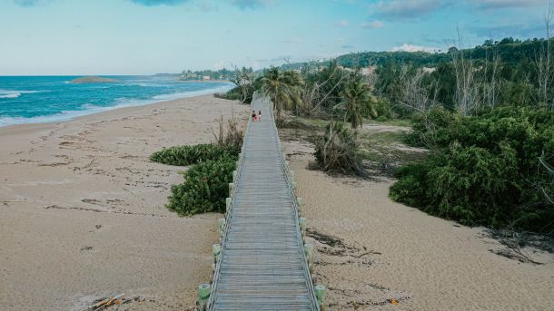 fenomen atrakcija otoka vieques karipski otok
