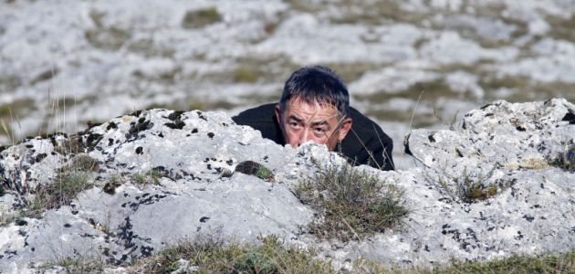 Gorčilo – Jesi li to došao da me vidiš?