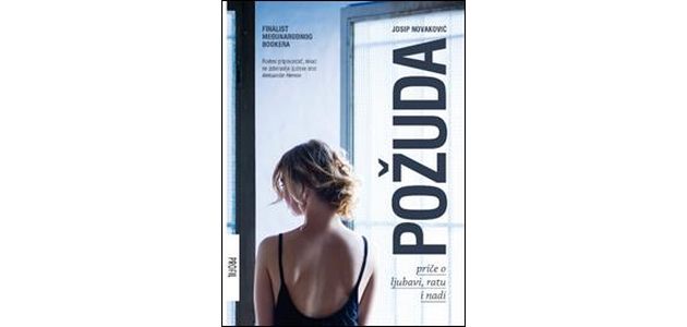 pozuda