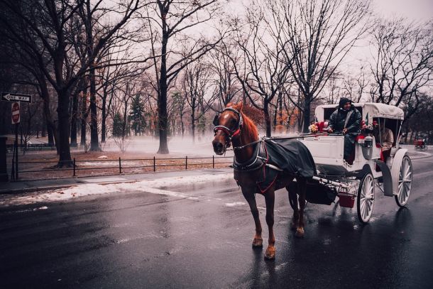 central-park-new york